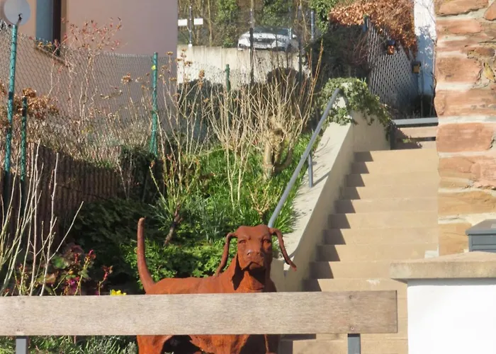 Wohlfuehlen In * Bad Ems